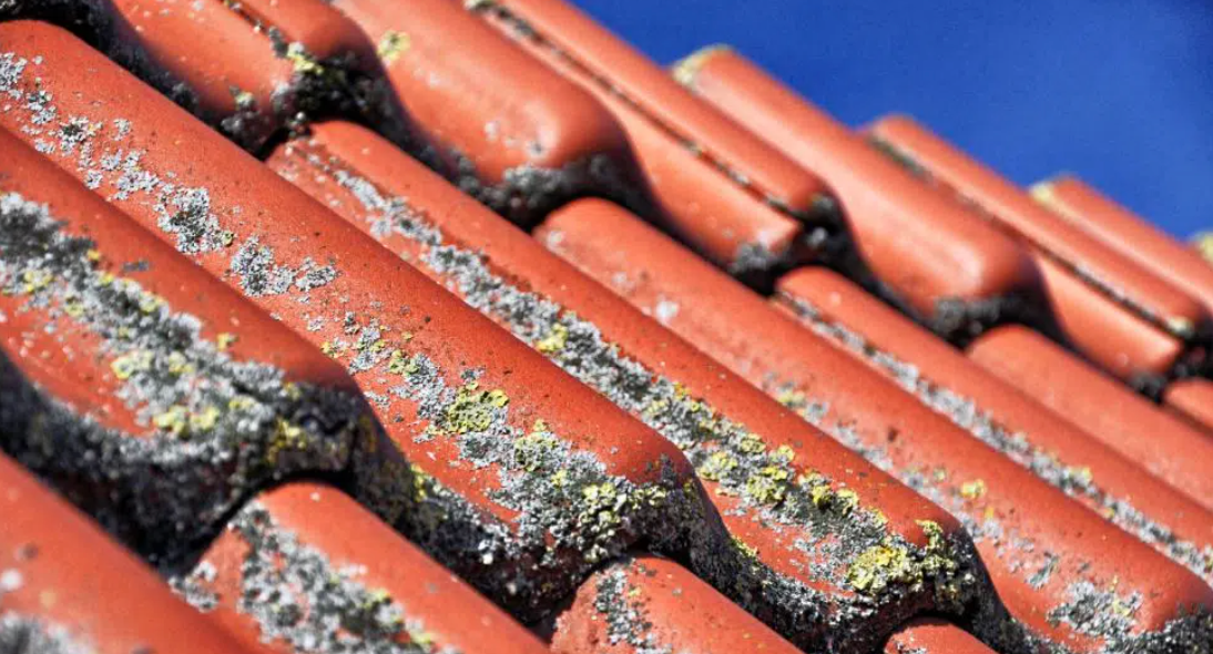 démoussage de toiture avec fongicide